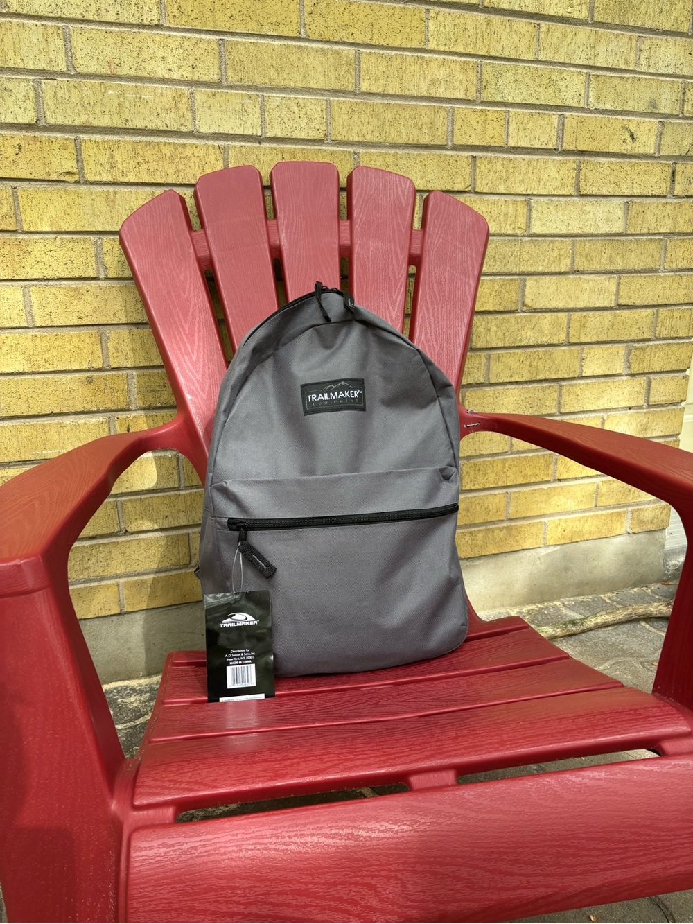 Gray Everyday Backpack for Men